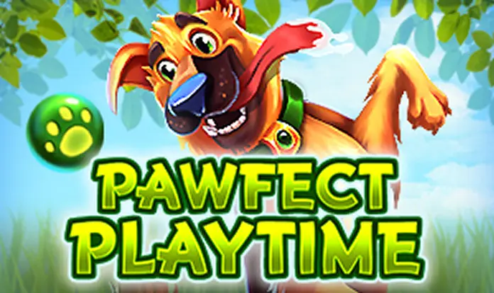 Pawfect Playtime Pawfect Playtime